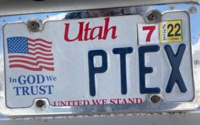 Ski License Plate
