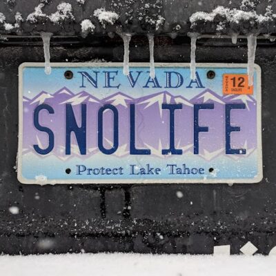 Ski License Plate