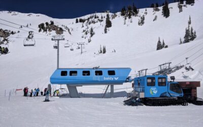 Snowbird