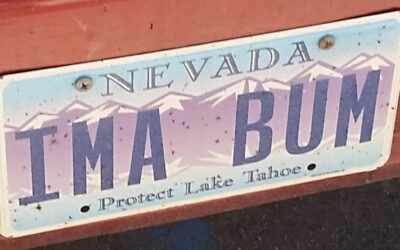 Ski License Plate