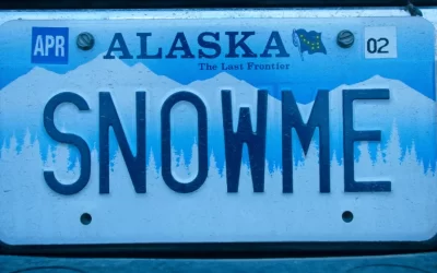 Ski License Plate