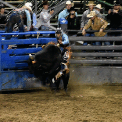 Bull Riding
