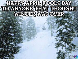 Ski Meme
