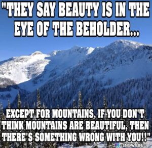 Ski Meme