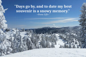 Snow Poster