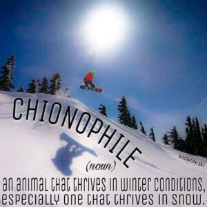 Chionophile