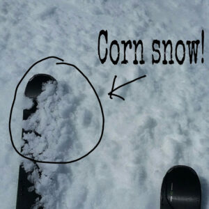 Corn snow