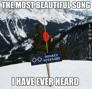 Ski Meme