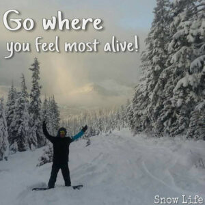 Feel Alive