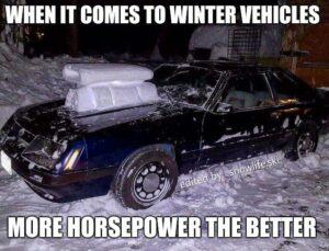 Ski Meme