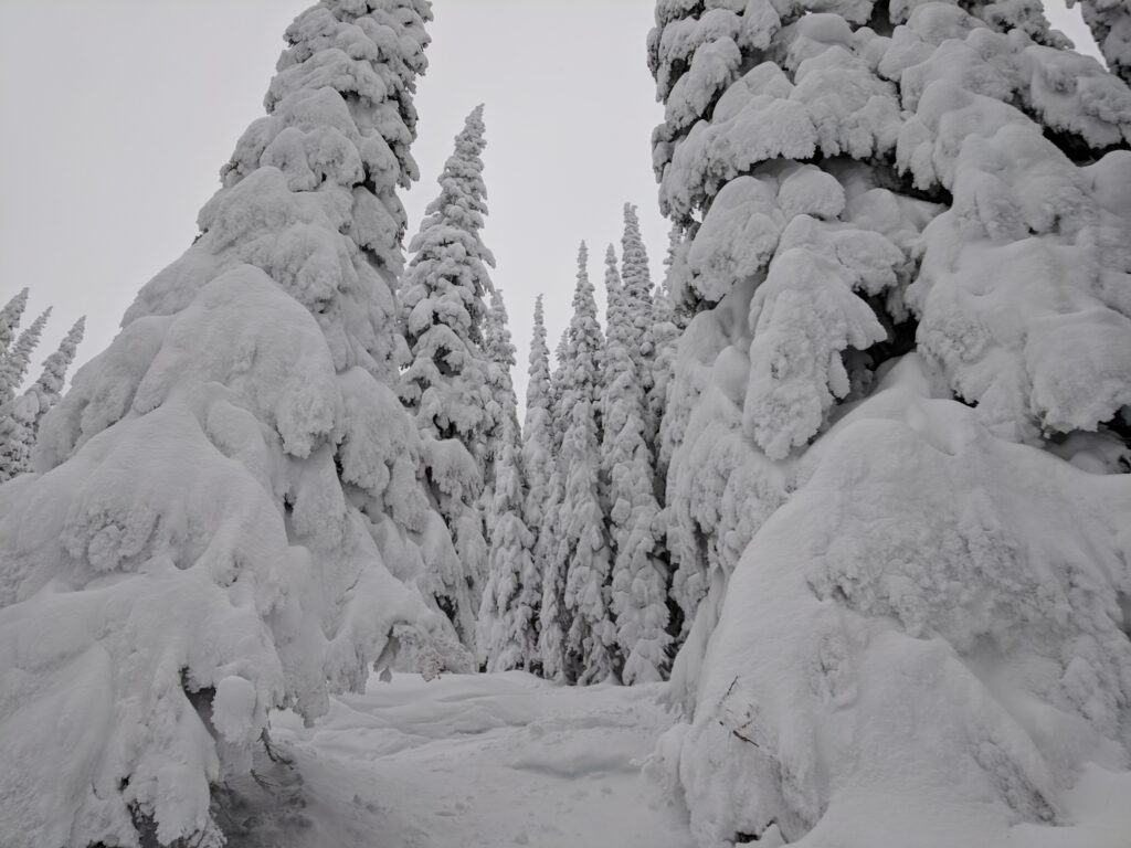 SIlverstar snow