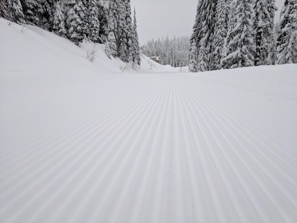 Corduroy