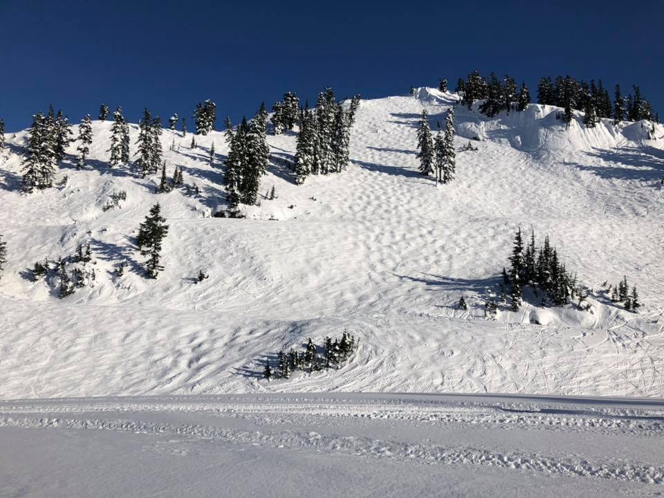 Mt. Baker