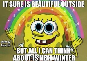Winter Meme