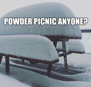 Ski Meme