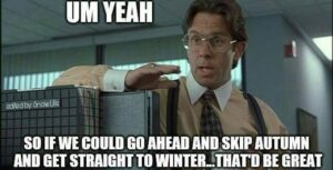 Winter Meme