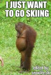 Funny skiing meme