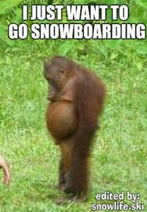 Snowboarding Meme