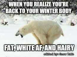 Funny Winter meme
