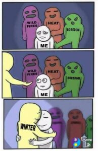 Winter Meme