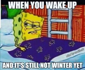 Funny Winter Meme