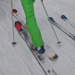 Teleskier