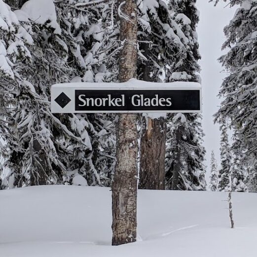 Ski trail sign