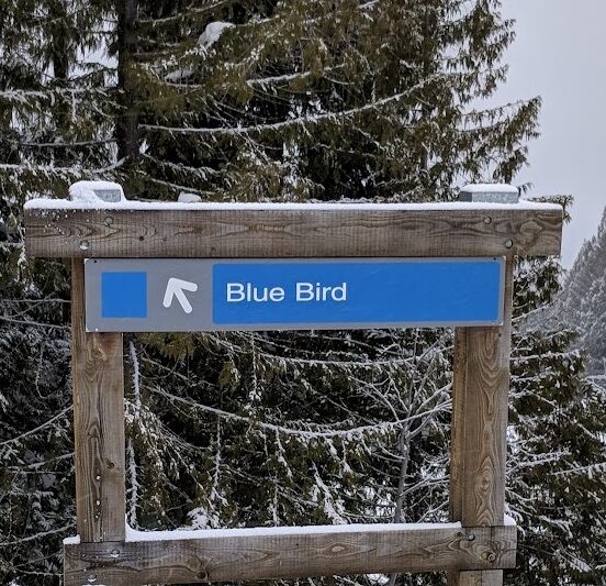 Blue Bird trail