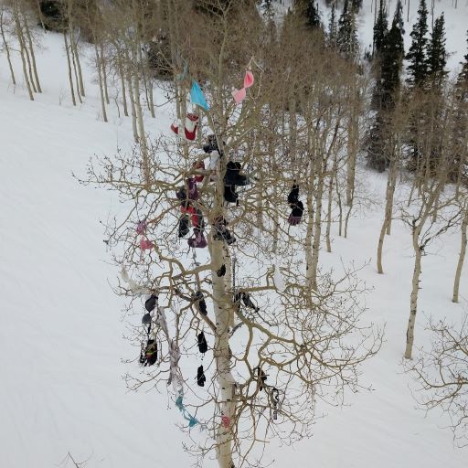 Bra Tree