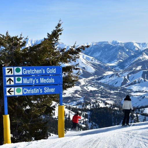 Bunny SLopes