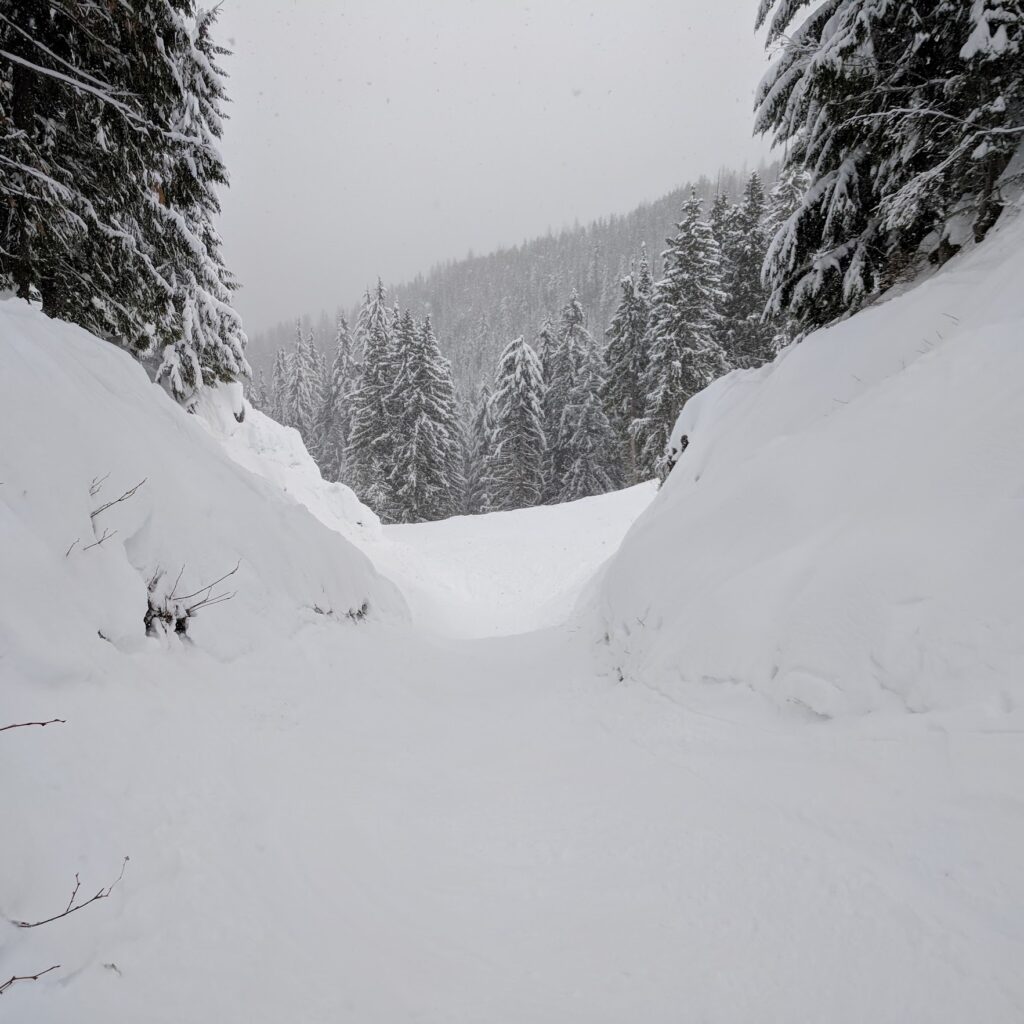 Ski chute