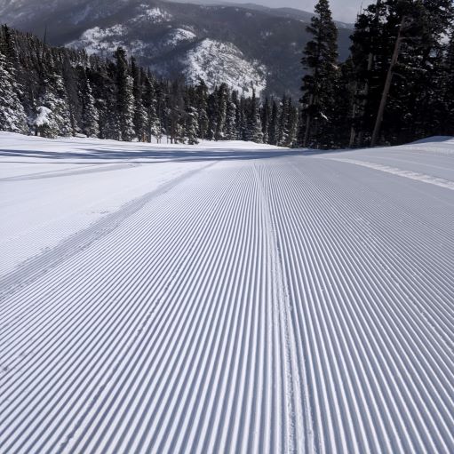 Corduroy Snow