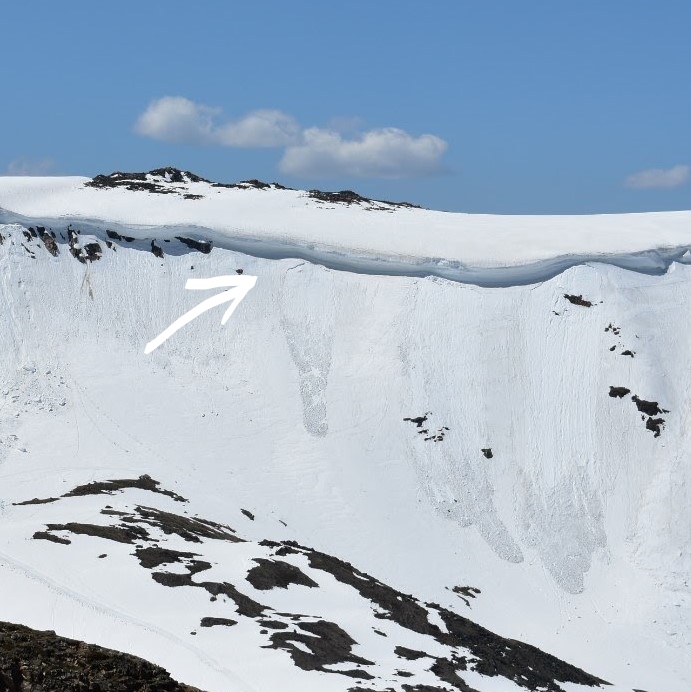 Cornice