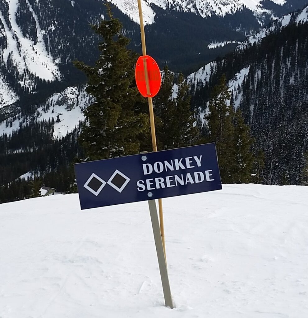 Ski Trail sign at Taos