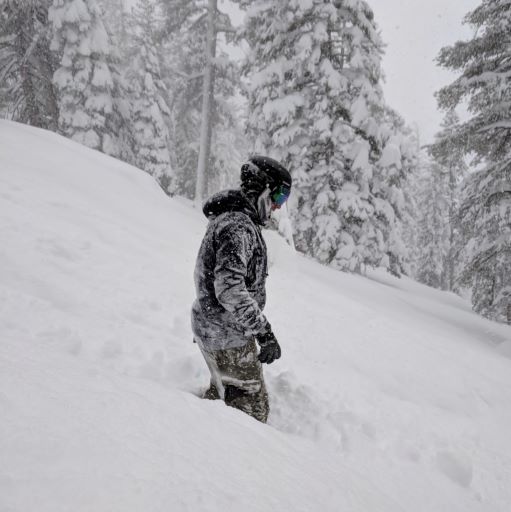 The Gnar