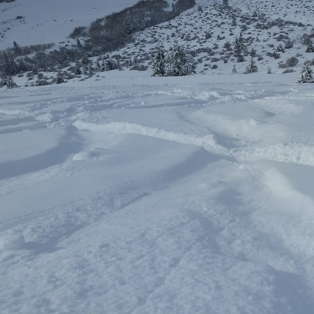 Hero Snow