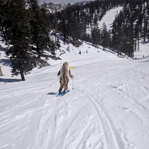 Hot Dog Skier