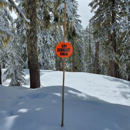 Out of bounds
