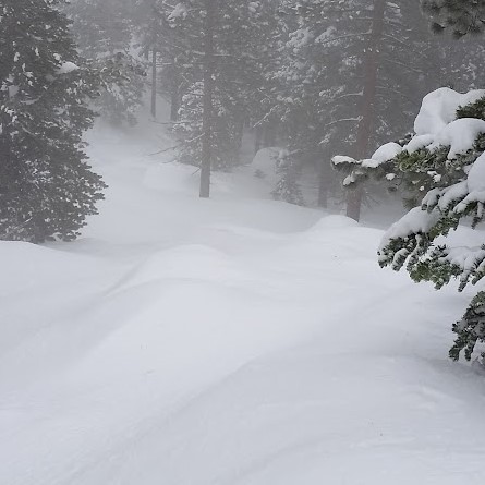 Snow Pillows