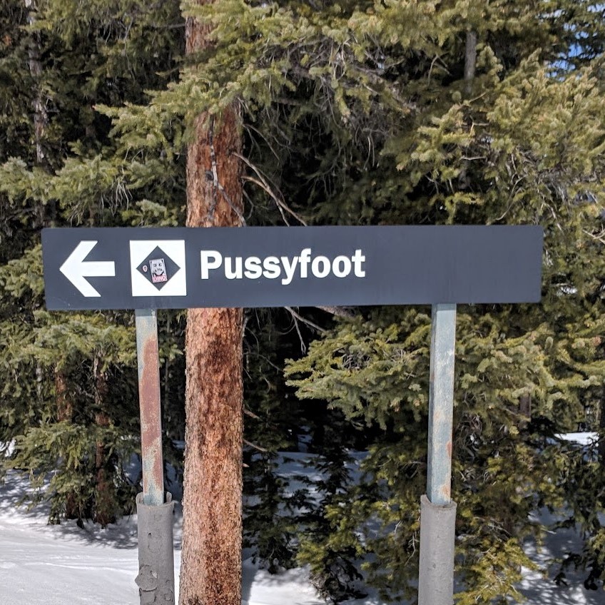 Ski trail sign