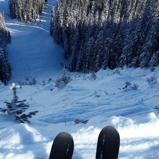 Steeps