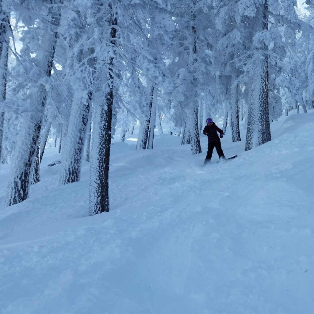 Tree skiing