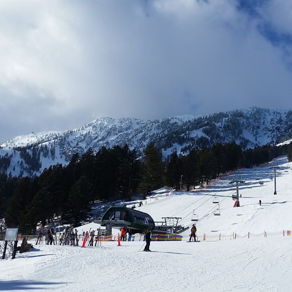 Bridger Bowl
