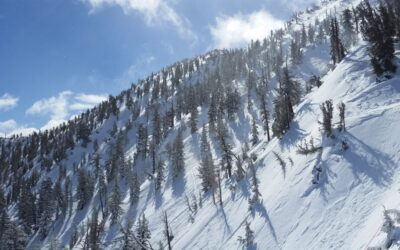 Mount Rose Chutes