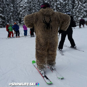 Bigfoot Skiing