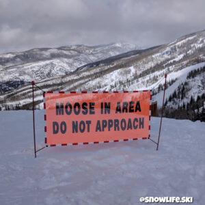 Beware of Moose sign
