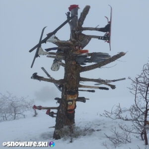 Ski tree