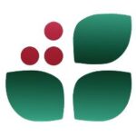 Wintergreen resort logo